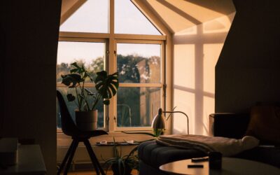 The Future of Home Design: Top Trends for 2025